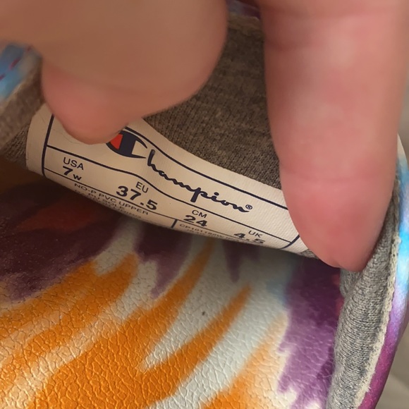 Champion slides - Picture 3 of 4